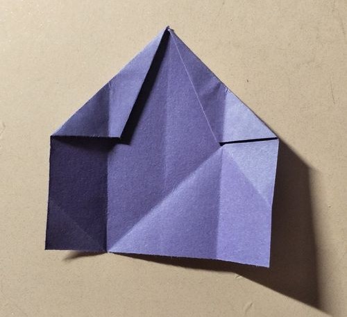 Origami Five - petal Flower-No:9-Origami Plant