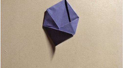 Origami Five - petal Flower-No:15-Origami Plant