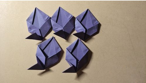 Origami Five - petal Flower-No:17-Origami Plant