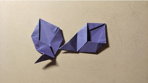 Origami Five - petal Flower-No:18-Origami Plant