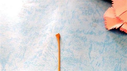 Origami Carnation-No:6-Origami Plant