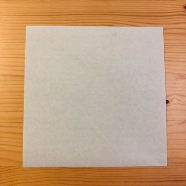 Origami Pigeon Instructions-No:2-Origami Bird